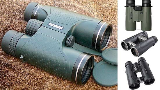 which-ed-binoculars